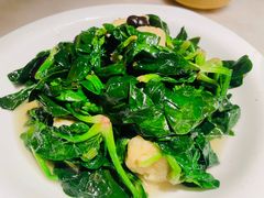 -東大方(湖州白鹭迎店)