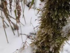 -西岭雪山大飞水景区