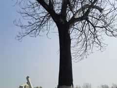 -中国唐山地震博物馆