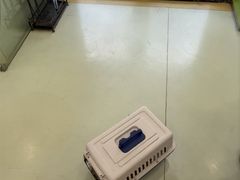 -瑞鹏宠物医院·宠保定点·心脏科·内科(御桥分院)