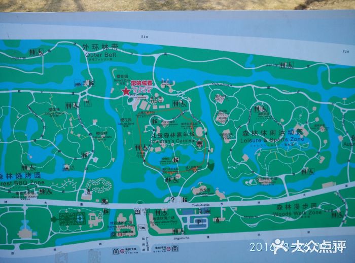 顾村公园-图片-上海景点/周边游-大众点评网