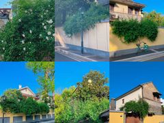 -颐和路民国时期公馆-风貌区