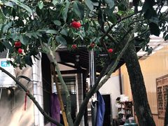 -李东农庄(中南百草园地标店)