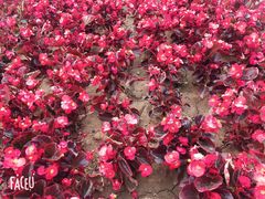 -唐山抗震纪念碑广场