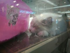 -乐宠宠物店(世纪金源店)