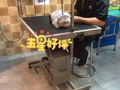-我爱吾宠宠物美容院(朝阳路店)