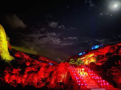 -印象普陀