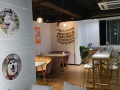 -Husky Go! 哈士奇体验馆·宠物咖啡厅狗咖