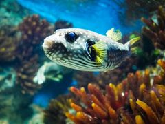 -福州罗源湾海洋世界旅游区