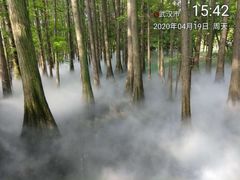 -东湖落雁景区