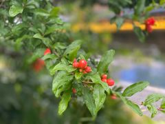 -茅草房·河畔园林火锅