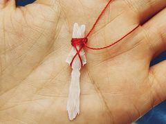 -干老四雅鱼饭店(滨江西路店)