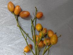 -百果园PAGODA(中铭豪园店)