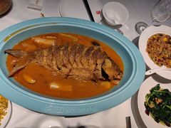 -阿五黄河大鲤鱼(英协路店)