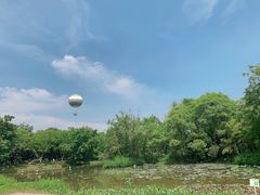 -西溪国家湿地公园