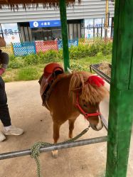 -萌宠亲子动物乐园(槐房万达店)