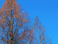 -山王坪喀斯特国家生态公园