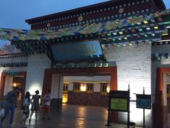 -青岛方特梦幻王国