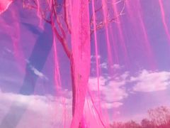 -兴安湖生态运动公园