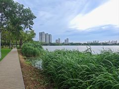 -高子水居