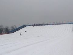 -绿野森林乐园冰雪季