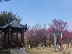 -河源客家文化公园