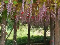 -雪山彩虹谷景区