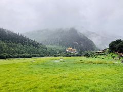 -稻城亚丁景区-冲古草甸
