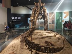-衢州市博物馆