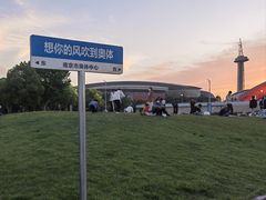 -南京奥林匹克体育中心-体育馆