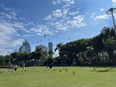 -白鹭洲公园