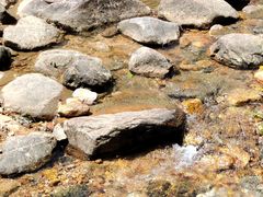 -广州白江湖森林公园