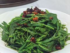 油泼丝瓜尖-上庄晋风庄园(上庄店)