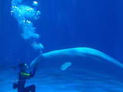 -多彩贵州城极地海洋世界