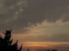 -小麦岛公园