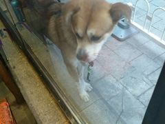 -陈府大宅门成都火锅·手切鲜肉(太原街店)