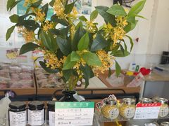 -苏州市吴中区光福窑上花果蜜饯厂