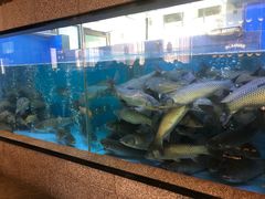 水产区-淘米捞·米汤脆鲩鱼火锅(福田皇岗店)