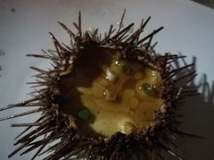 海胆蒸蛋-映像威海·海鲜味道(市区店)