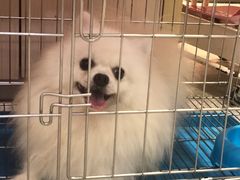 -宠爱我(南山店)