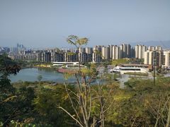 -飞凤山奥体公园