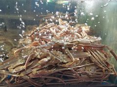 -蟹之国·精品蟹料理(极地店)