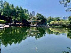 -晓港公园