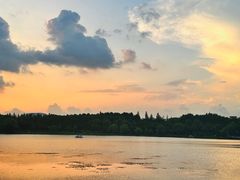 -那红花·东北菜铁锅炖(仙林金鹰店)