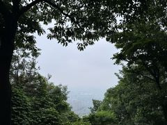 -惠山国家森林公园