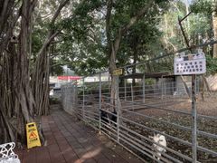 -厦门悦华酒店·绿庭主题自助餐厅