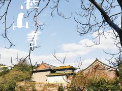-青岛电视塔
