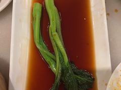 -金鼎轩(方庄天坛店)