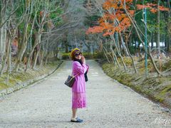 -醍醐寺