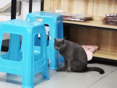 -贝利宠物医院·骨科·眼科·肿瘤转诊中心(南坪诊疗中心)
